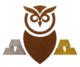 A close-up view of a circular, metallic badge. The central element is a detailed, stylized golden owl face with complex swirls and stylized ear tufts. Surrounding the owl is a black enamel ring featuring polished, silver-colored Roman numerals XII, I, II, III, IV, V, VI, VII, VIII, IX, X, and XI, oriented like a clock face. The outer edge is finished with a polished silver-colored rim.